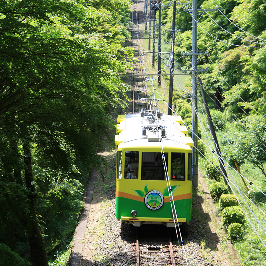 高尾山